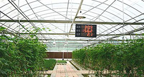 智慧農業(yè)解決方案